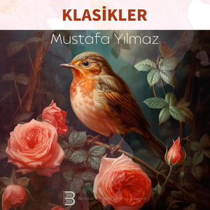 Mustafa Yılmaz - Gözleri Sürmeli