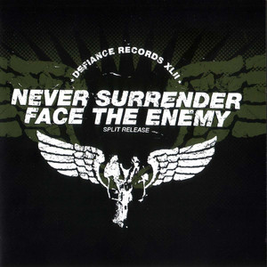 Indestructible by Never Surrender