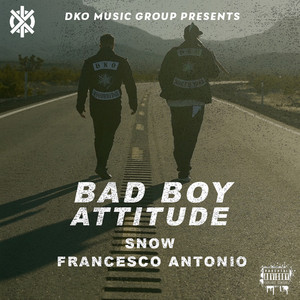 BAD BOY ATTITUDE - Single by Snow | Spotify