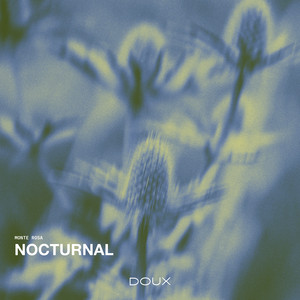 Nocturnal by Monte Rosa