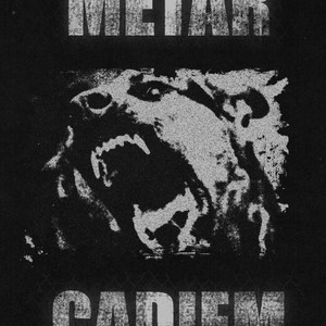 Portada de MM Block