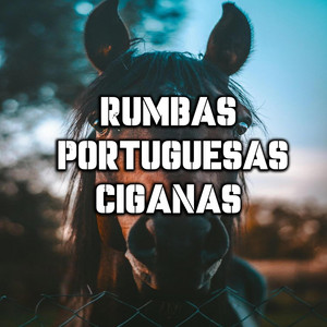 Rumbas Portuguesas Ciganas - RUMBA PORTUGUESA CIGANA 2024 (DJ TIAGO CIGANO)
