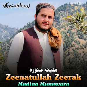 Zeenatullah Zeerak - Storai Shaheed Shawe Ho Spogme Warta Walara Wa