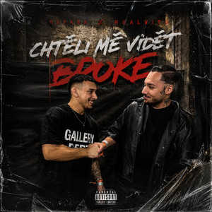 Chtěli mě vidět broke by Baraba, RealVito