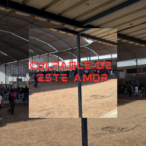 Culpable de este amor by YanAmoi Bl4cK