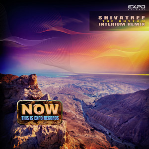 The Rhythm - Interium Remix by Shivatree, Interium