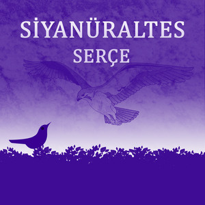 Serçe