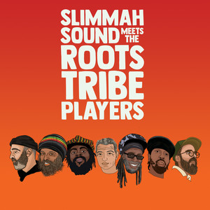 Nah Follow Dem by Slimmah Sound, Macka B