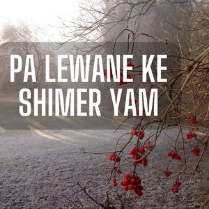 Sahil Mehsood - Pa Lewane Ke Shimer Yam