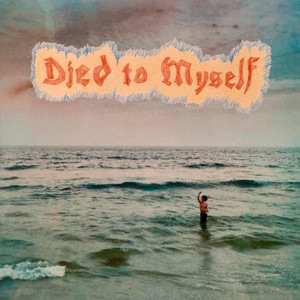 Died to Myself album cover