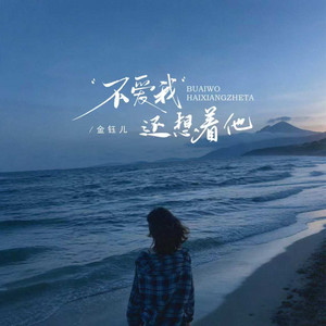 不爱我还想着他 - 别再当傻瓜 伴奏 by 金钰儿