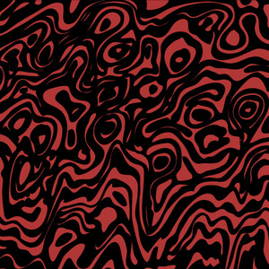 Portada de Protect