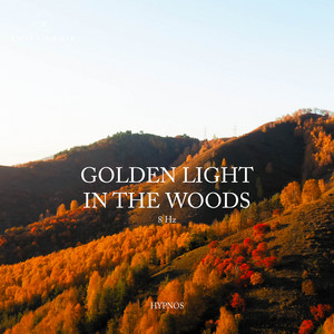 Golden Light In The Woods by Hypnos