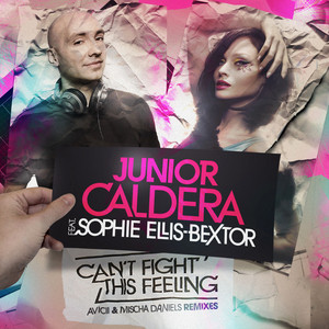 Can't Fight This Feeling (The Club Mixes) cover art