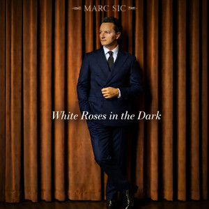 White Roses in the Dark by Marc Sic
