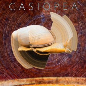 Casiopea cover