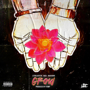 Portada de grow