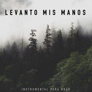 Instrumental Para Orar - Levanto Mis Manos (Piano)