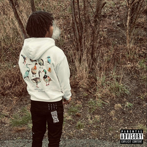 cb - Birds of a Feather