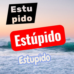 ESTUPIDO by Félix RD