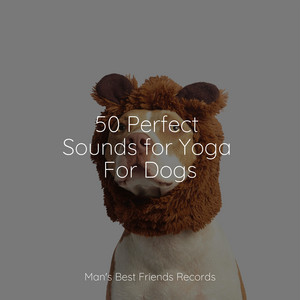 50 Perfect Sounds for Yoga For Dogs album