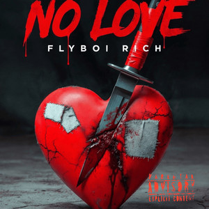 No Love by Flyboi Rich