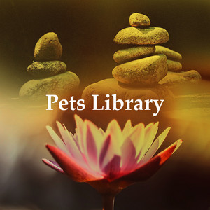 Pets Library