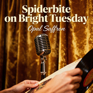 Spiderbite on bright tuesday by OPAL SAFFRON