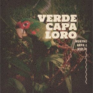 Alcanforcita de Huayana - Vede Capa Loro