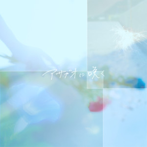 アサガオに咲く by BlueVeil