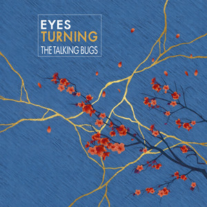 Eyes Turning by The Talking Bugs