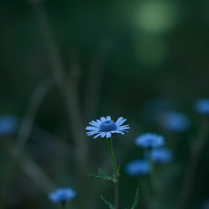 Only Blue by Muzik Factory