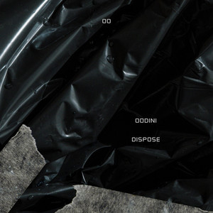 Dispose by OODINI