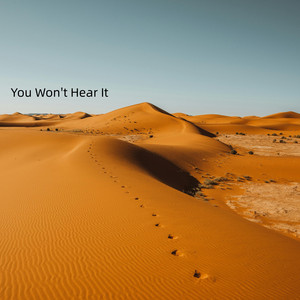 Disappointment by Virgil Hamilton