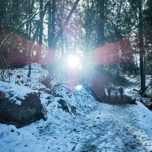Snow Days album cover