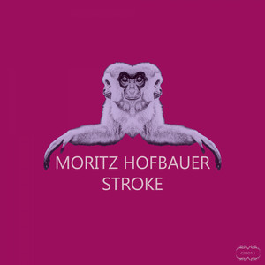 Stroke album cover