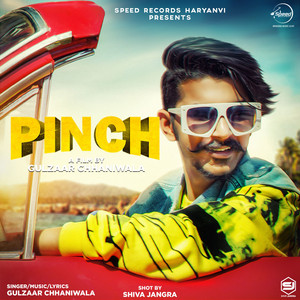 Gulzaar Chhaniwala - Pinch