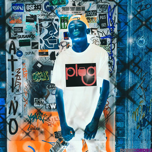 Plug