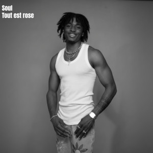 tout est rose by soul