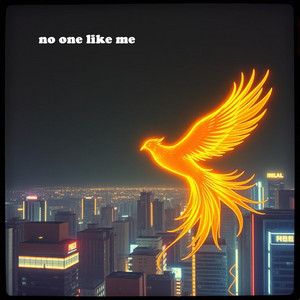no one like me by Risa