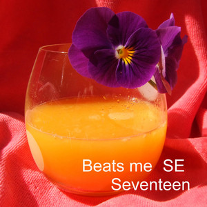 Seventeen album