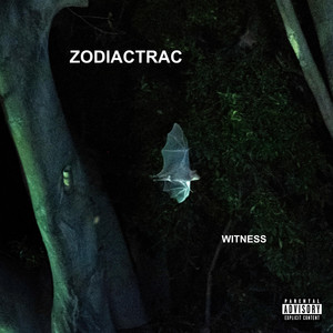 Witness by ZodiacTrac