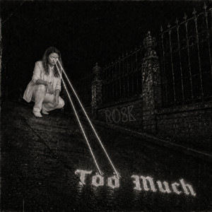 Too Much by Rosk