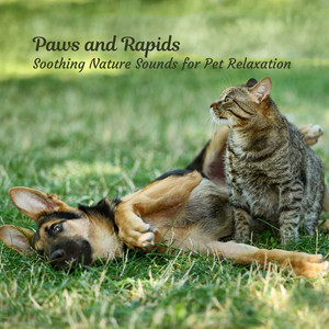 Paws and Rapids: Soothing Nature Sounds for Pet Relaxation album
