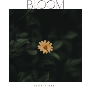 Bloom by Nova Tides