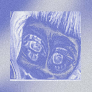 doris by Frutiger Puntero