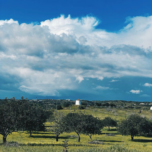 Ribeira De Álamo