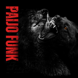 Paijo Funk by Andrea Romano