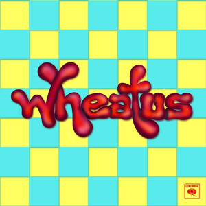 Teenage Dirtbag - Explicit Album Version ‑ 曲・歌詞：Wheatus | Spotify