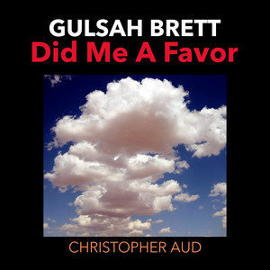 Did Me a Favor by Gulsah Brett, Christopher Aud